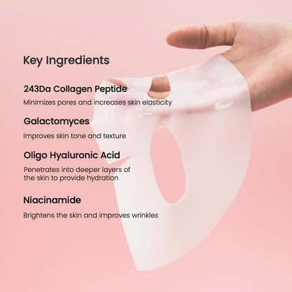 BIODANCE BIO-Collagen Overnight Face Mask